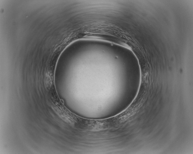 X0000068310772200604211203