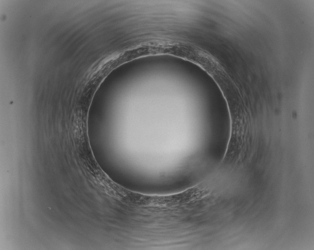 X0000068310773200604211203