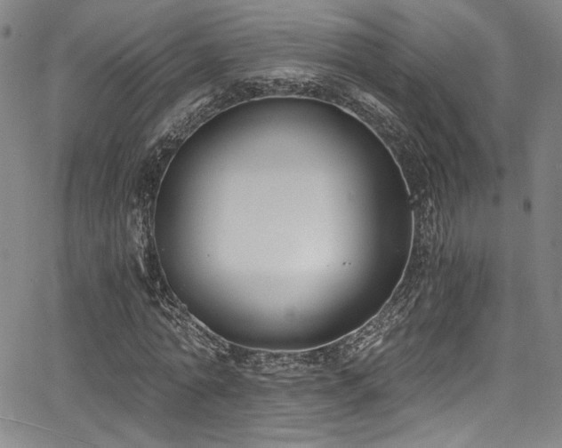 X0000068310774200604211203