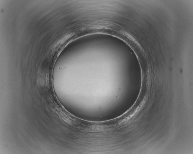 X0000068310777200604211203