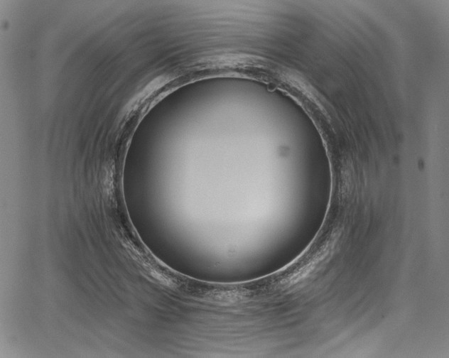 X0000068310778200604211203