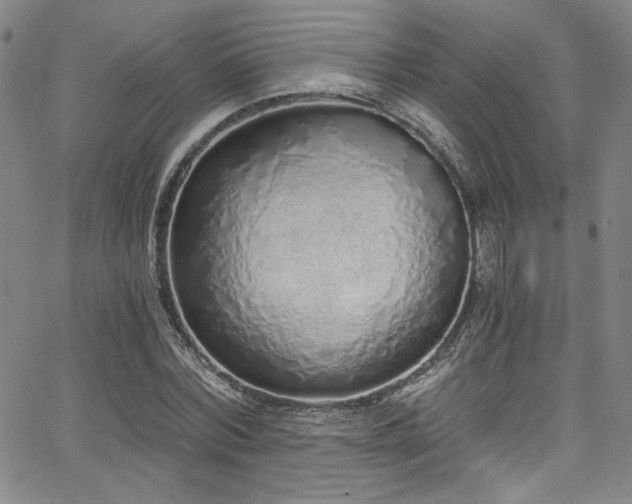 X0000068310780200604211203