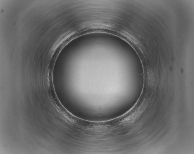 X0000068310782200604211203