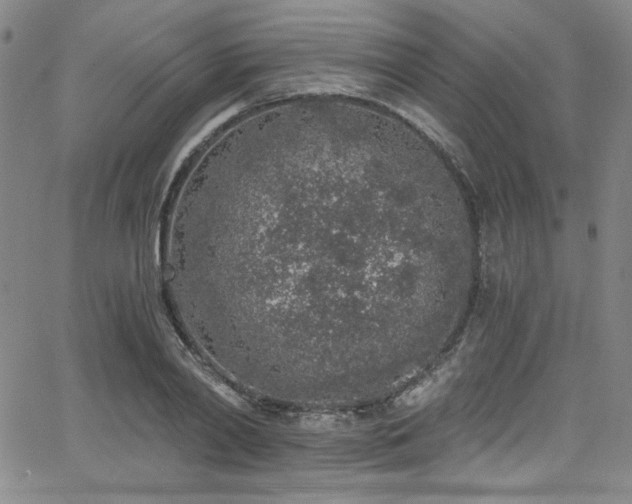 X0000068310790200604211203