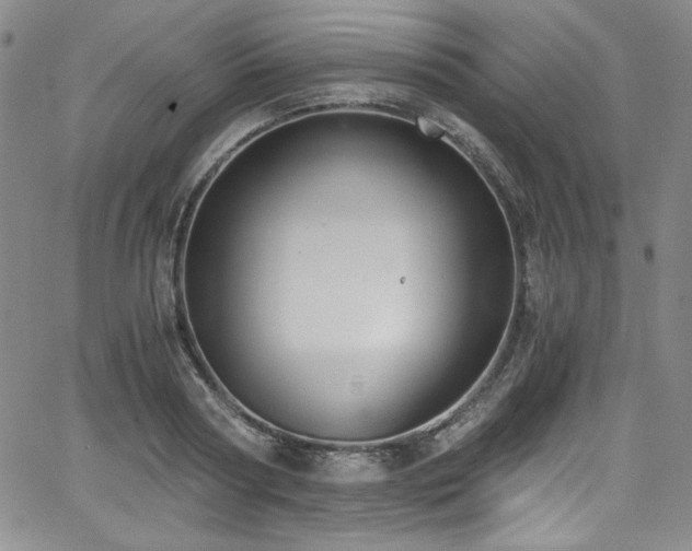 X0000068310794200604211203