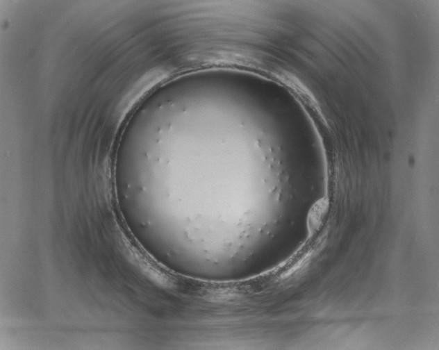 X0000068310798200604211202