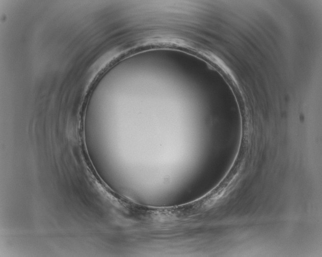 X0000068310799200604211202