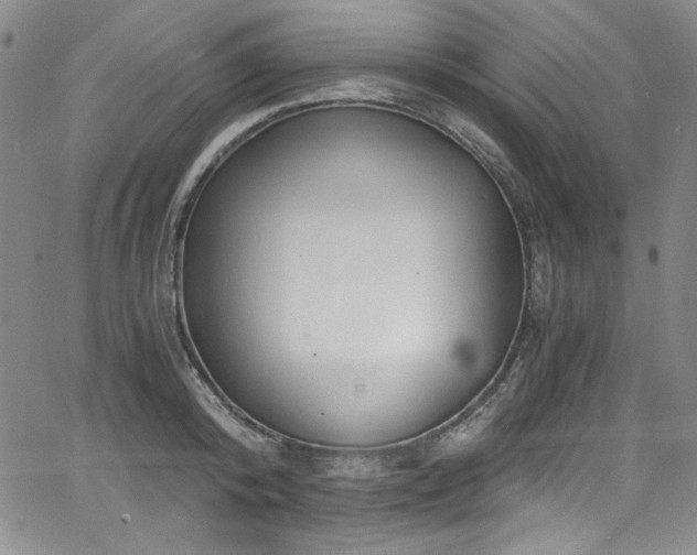 X0000068310800200604211202