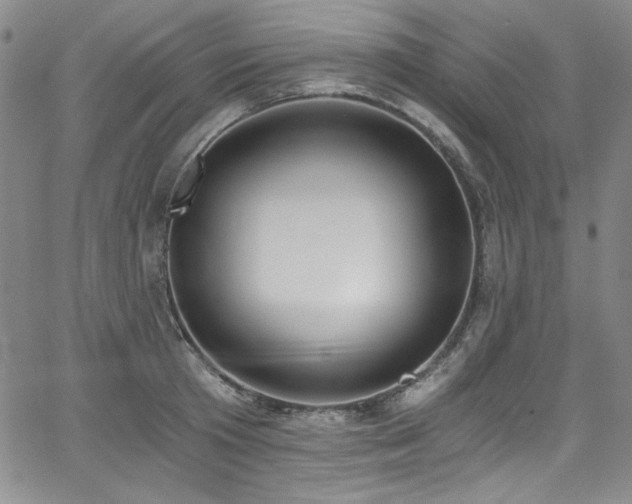 X0000068310801200604211202