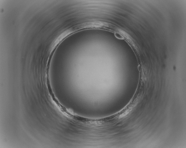 X0000068310802200604211202