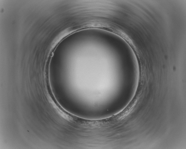 X0000068310803200604211202