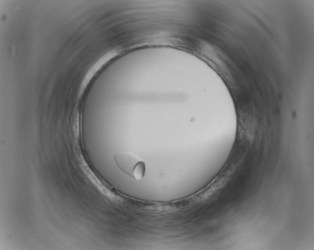 X0000068310804200604211202