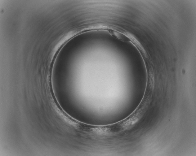 X0000068310805200604211202