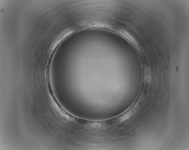 X0000068310806200604211202