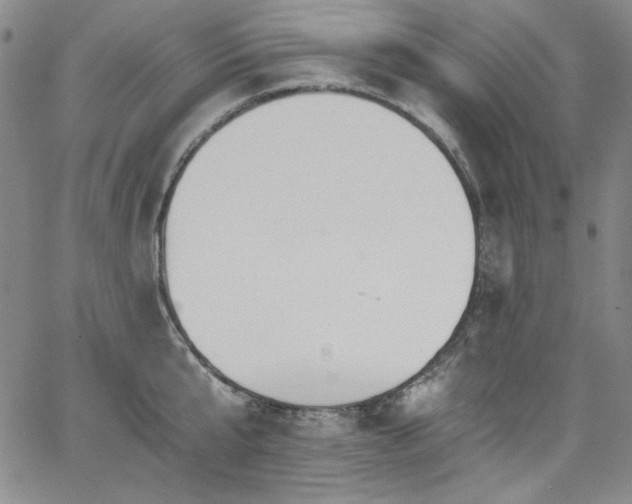 X0000068310807200604211202