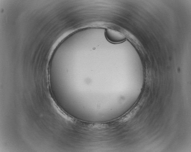 X0000068310808200604211202