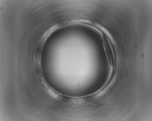 X0000068310809200604211202