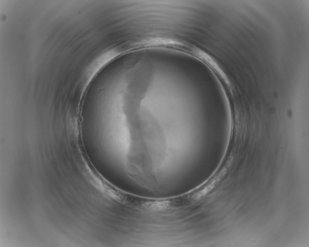 X0000068310810200604211202