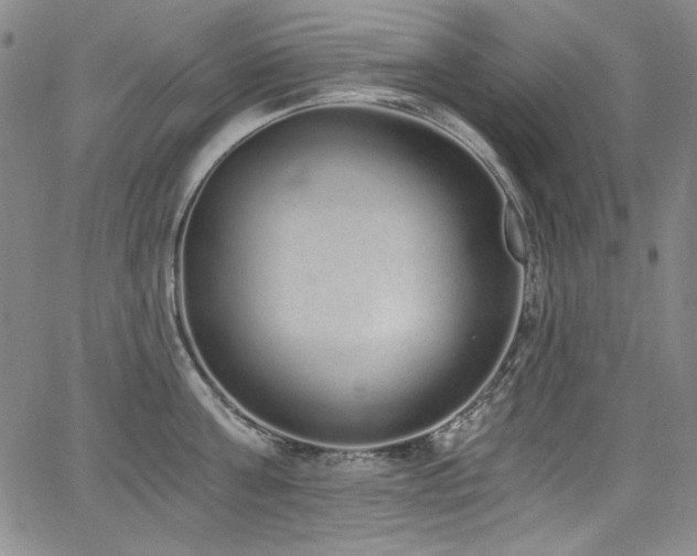 X0000068310811200604211202