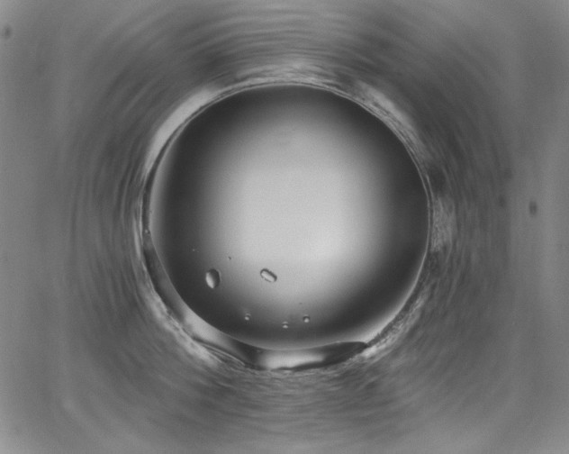 X0000068310812200604211202