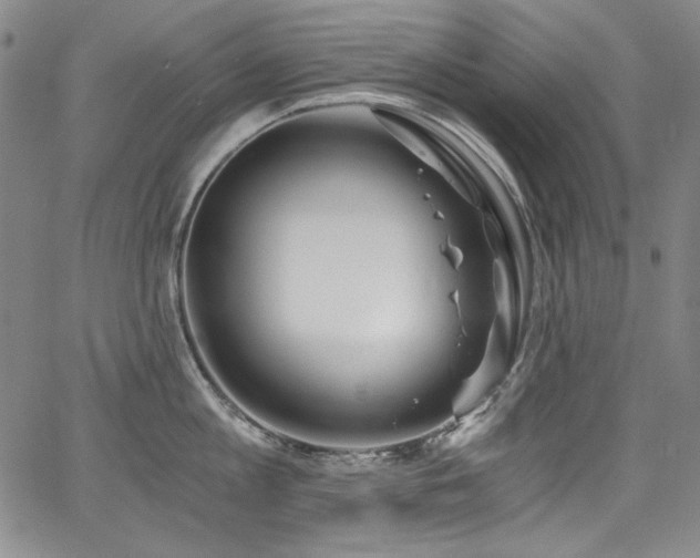 X0000068310813200604211202