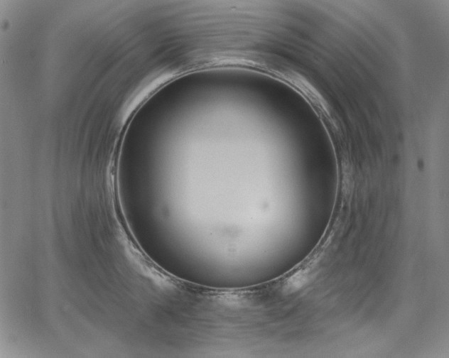 X0000068310814200604211202