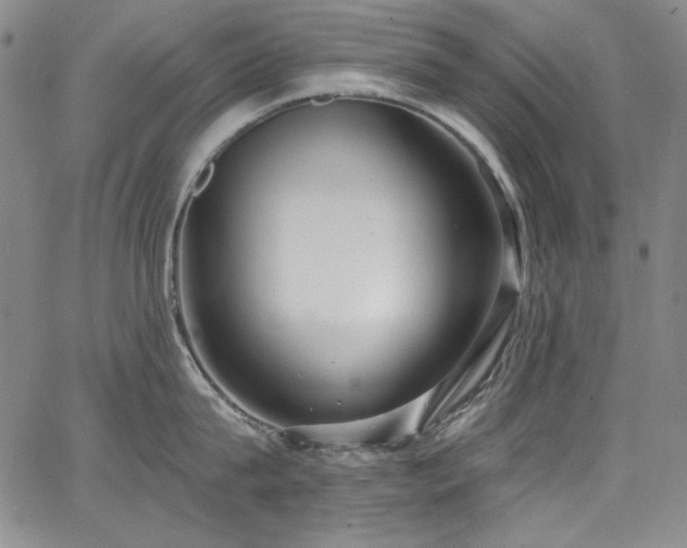 X0000068310815200604211202