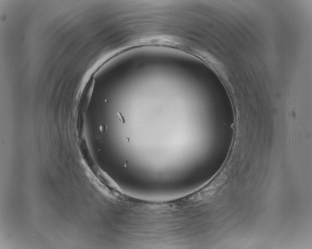 X0000068310816200604211202