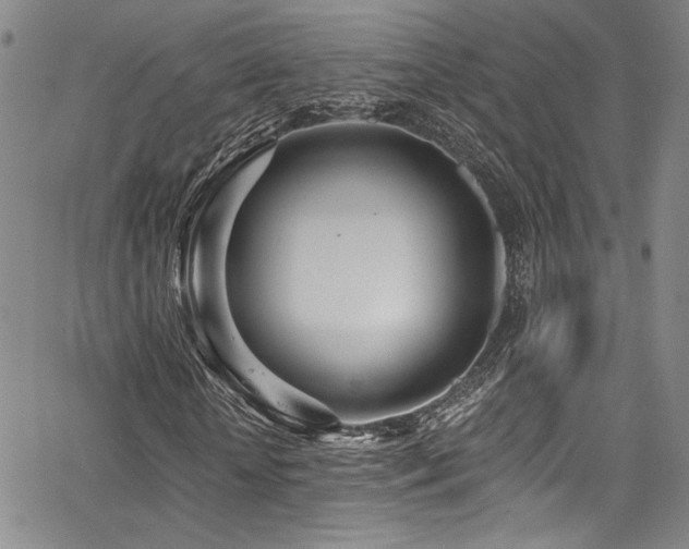 X0000068310818200604211201