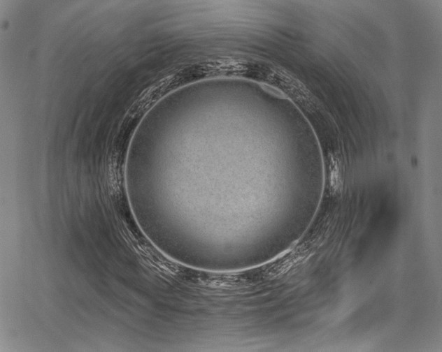 X0000068310819200604211201