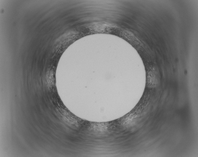 X0000068310820200604211201