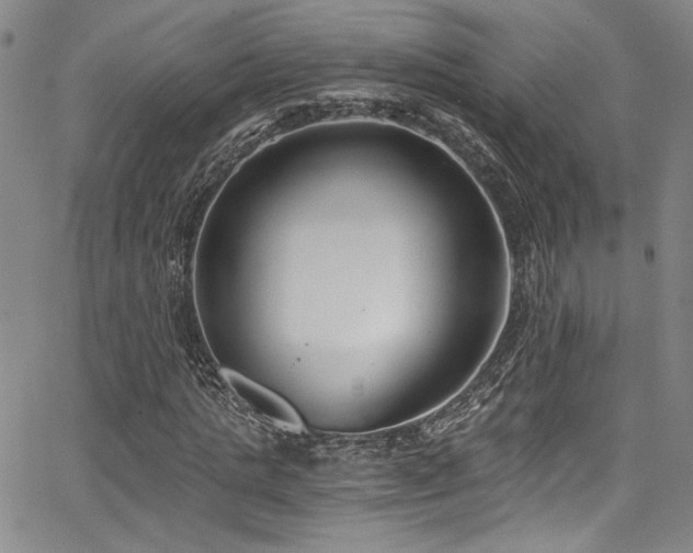 X0000068310821200604211201