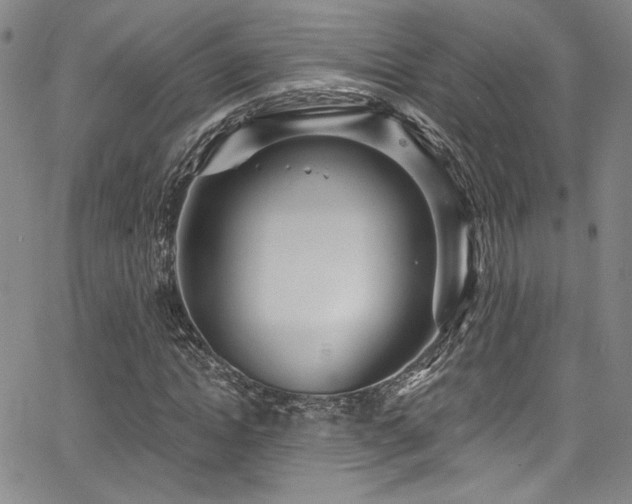 X0000068310822200604211201