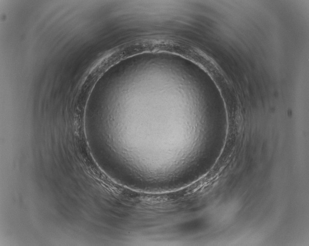 X0000068310823200604211202