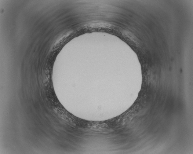 X0000068310824200604211202