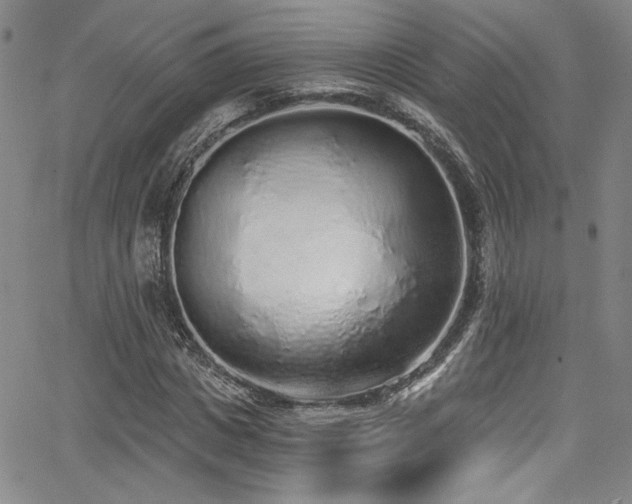 X0000068310825200604211202