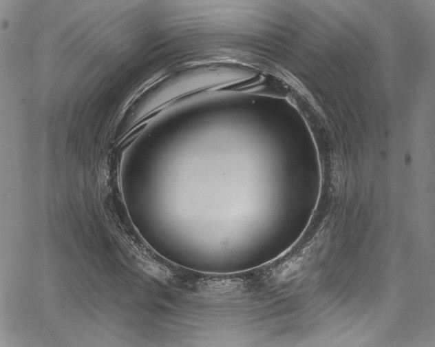 X0000068310826200604211202