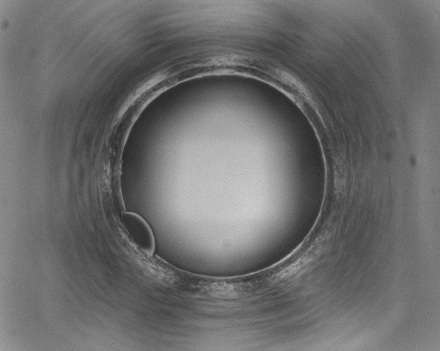 X0000068310827200604211202