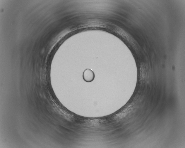 X0000068310828200604211202