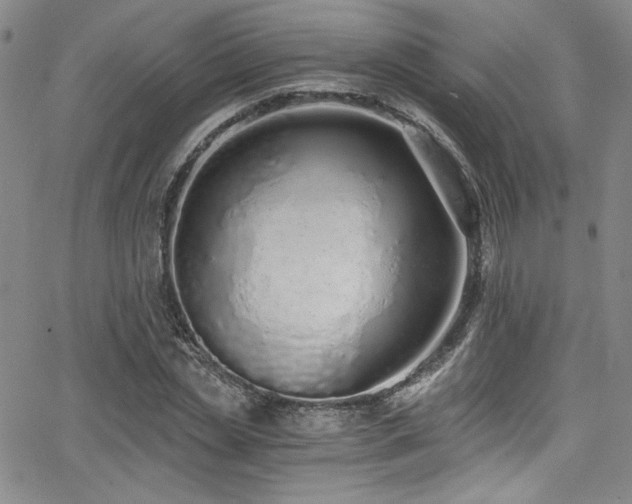 X0000068310829200604211202