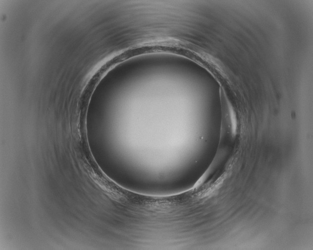 X0000068310830200604211202