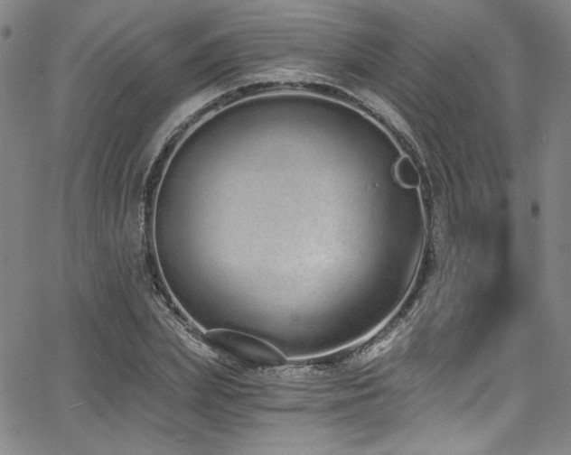 X0000068310831200604211202