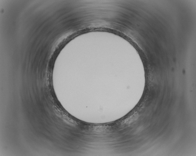 X0000068310832200604211202