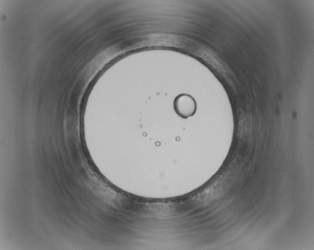 X0000068310836200604211202