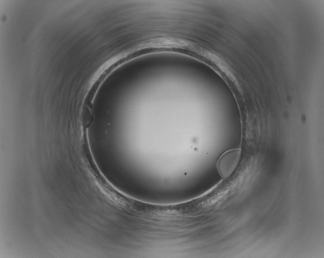 X0000068310837200604211202