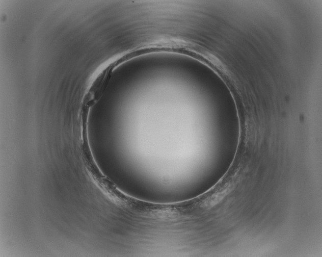 X0000068310838200604211202