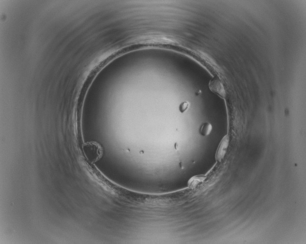 X0000068310840200604211202