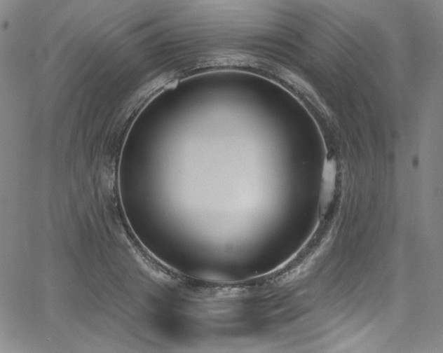 X0000068310841200604211202