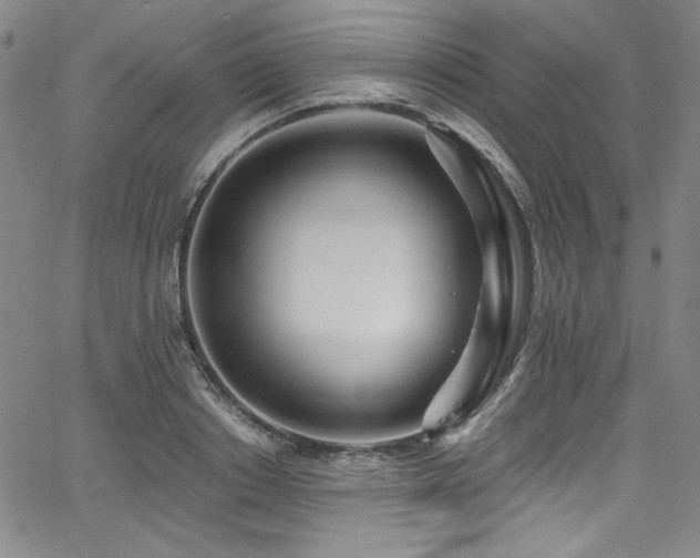 X0000068310842200604211202