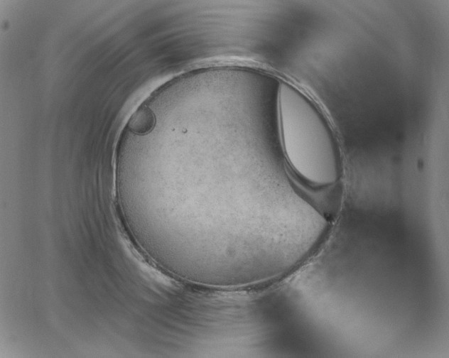 X0000068310844200604211202